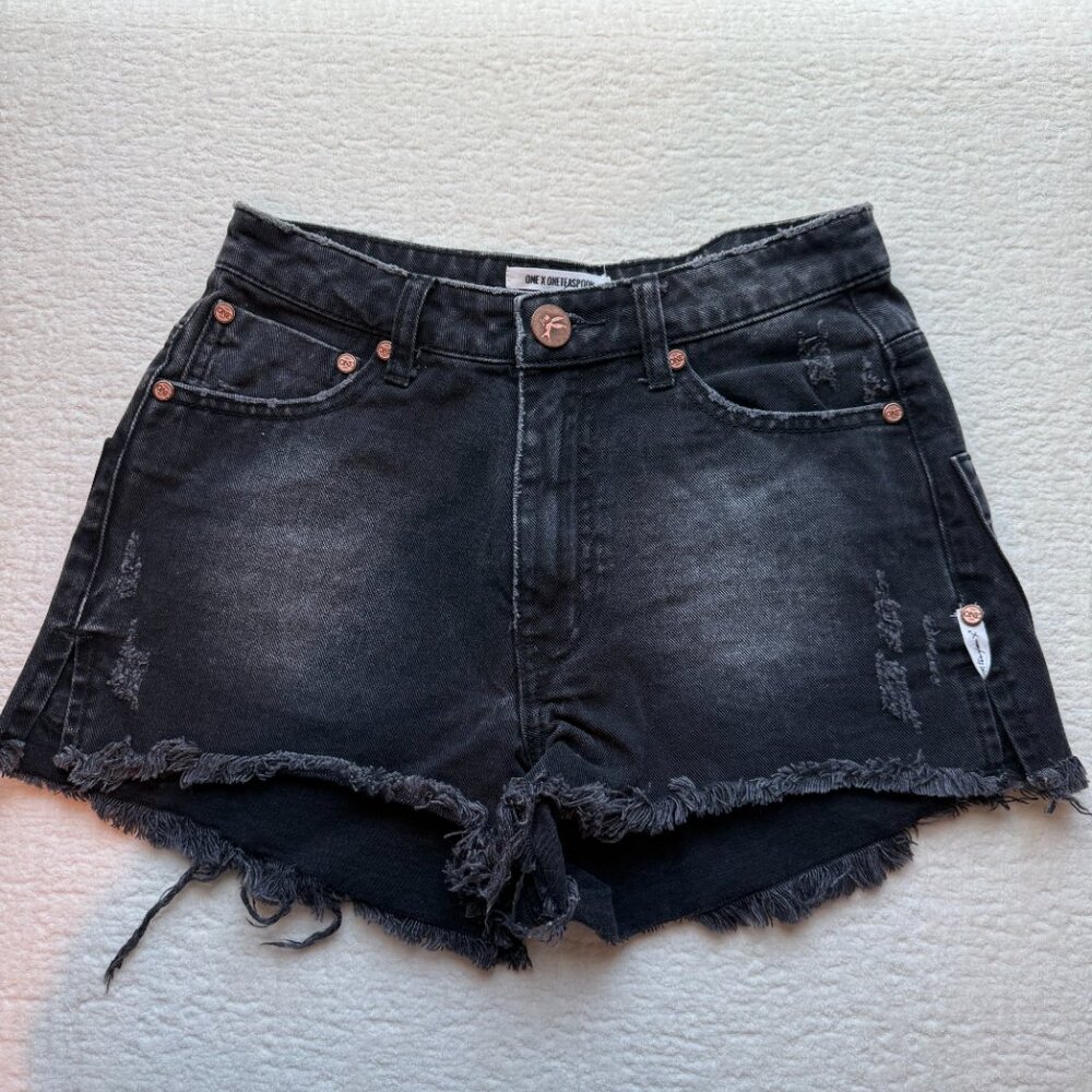 ONE X One Teaspoon Gray High Waist Bonita Shorts